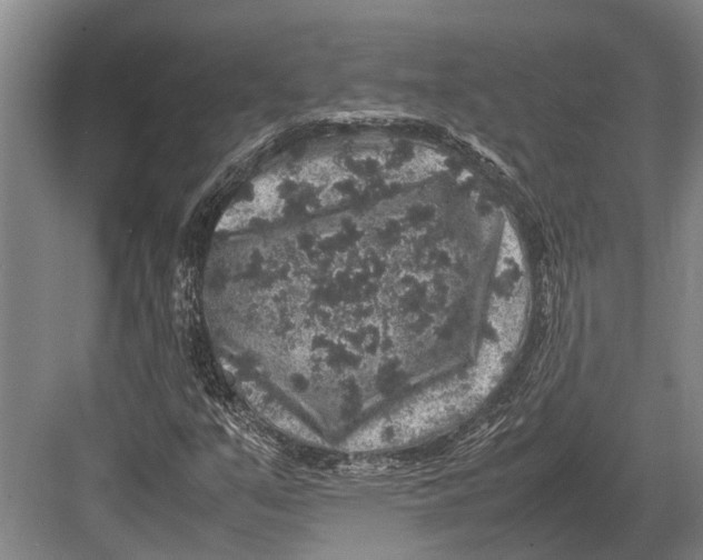 X0000082741351200702161922