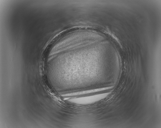 X0000082741352200702161922