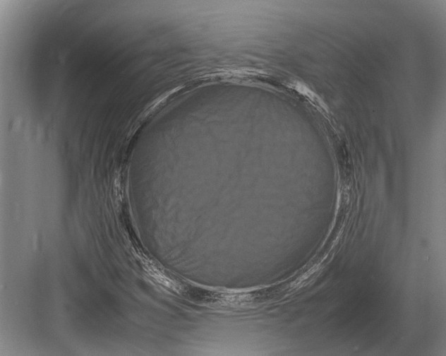 X0000082741353200702161922