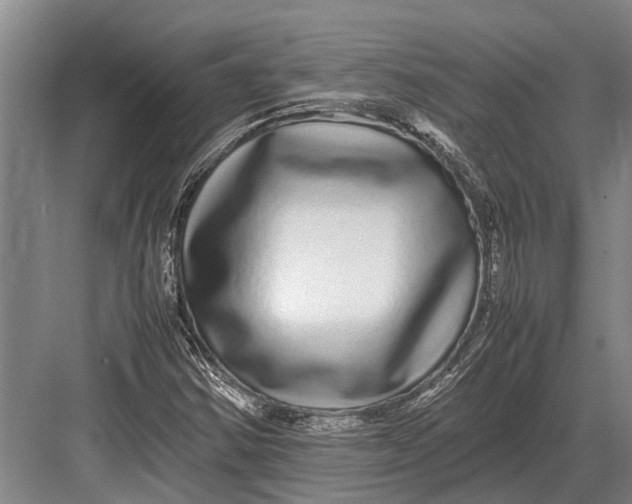 X0000082741354200702161922