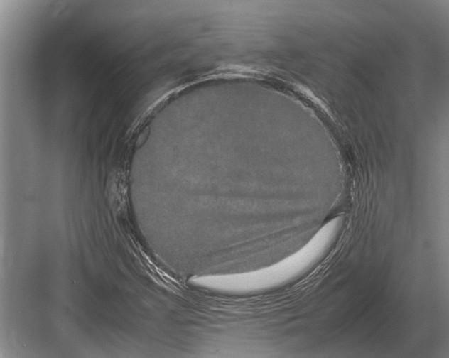 X0000082741355200702161922