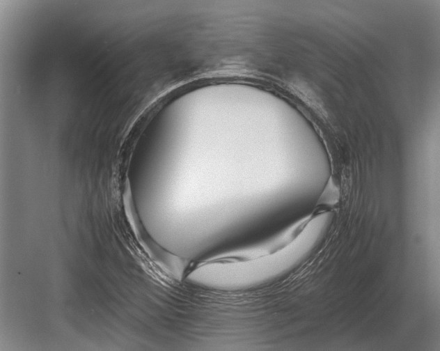 X0000082741356200702161922