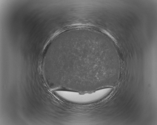 X0000082741357200702161922