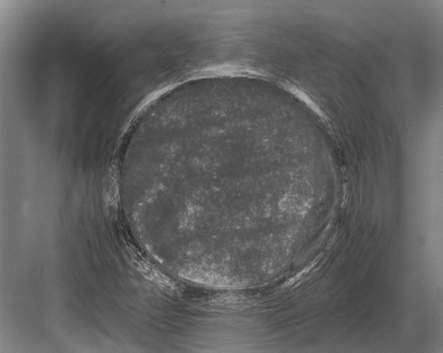 X0000082741358200702161922