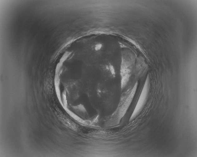 X0000082741359200702161922