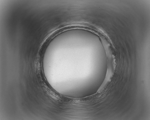 X0000082741360200702161922