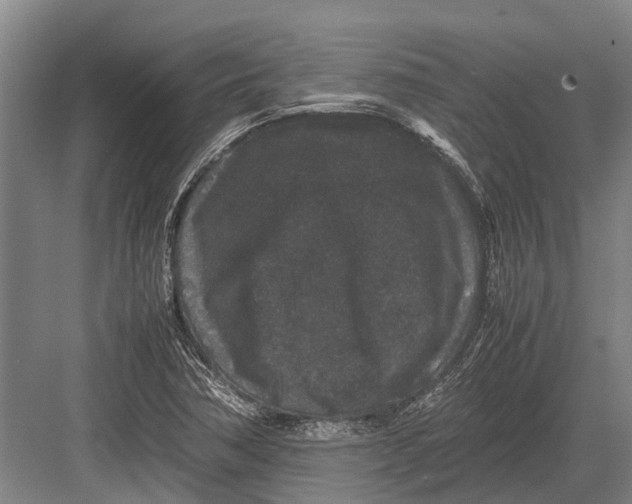 X0000082741362200702161922