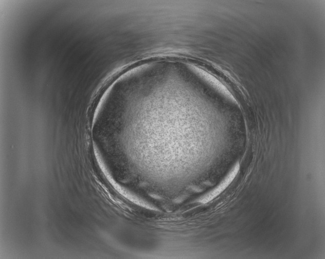 X0000082741363200702161922