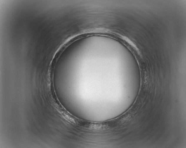 X0000082741364200702161922