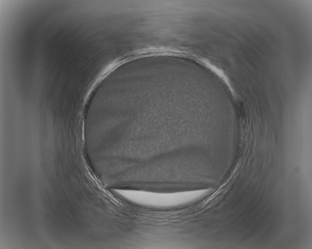 X0000082741365200702161922