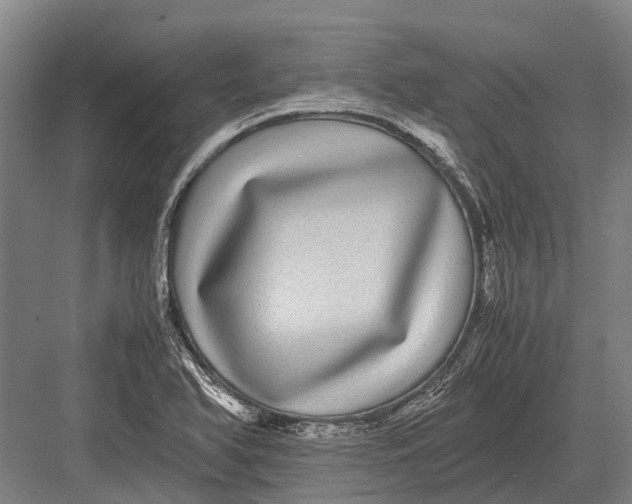 X0000082741366200702161922