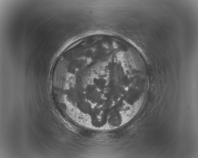 X0000082741367200702161922