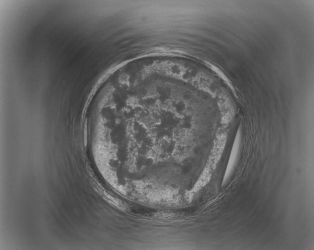 X0000082741371200702161922