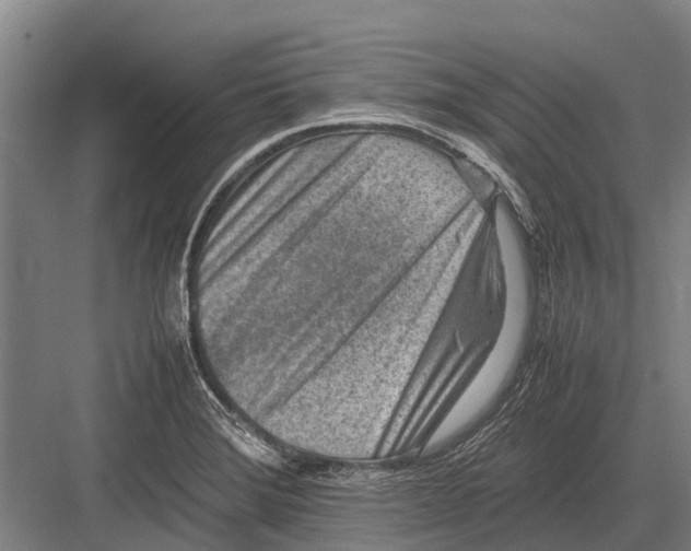 X0000082741372200702161922