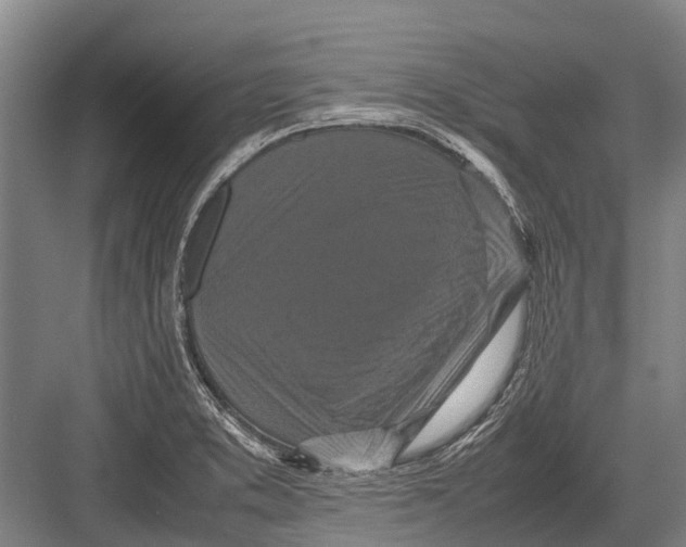 X0000082741373200702161922