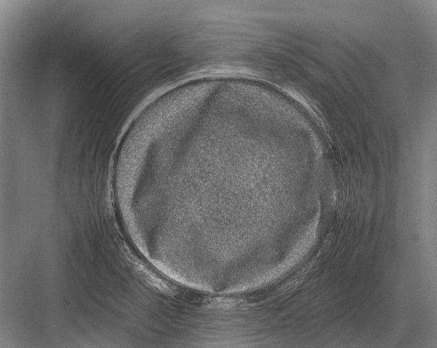 X0000082741374200702161922