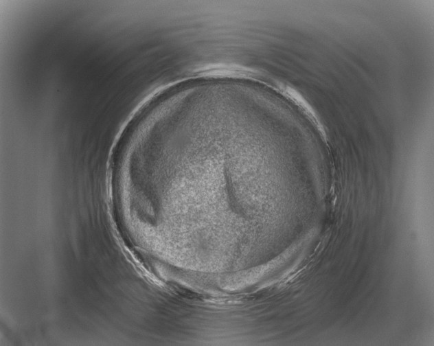 X0000082741376200702161922