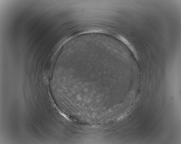 X0000082741377200702161922