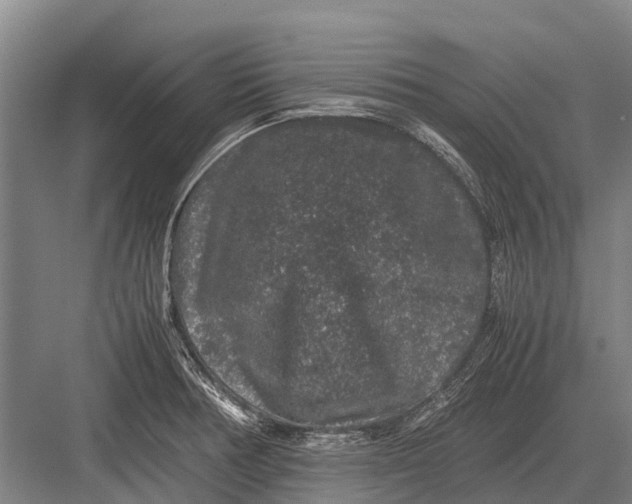 X0000082741378200702161922