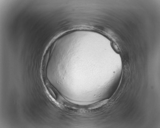 X0000082741379200702161922