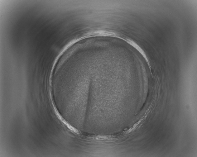 X0000082741381200702161922