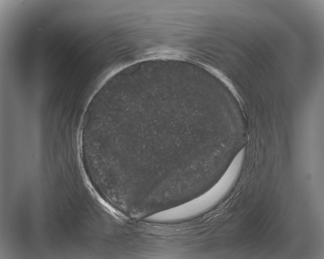 X0000082741383200702161922