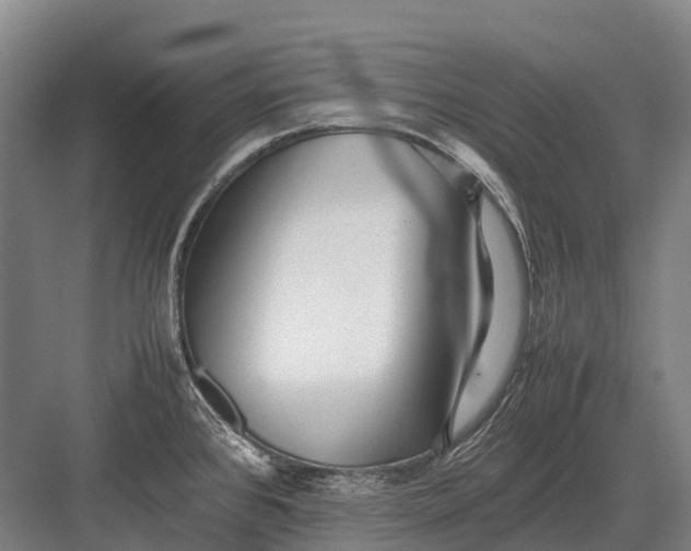 X0000082741384200702161922