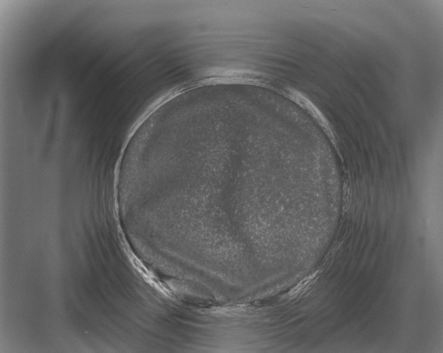 X0000082741386200702161922