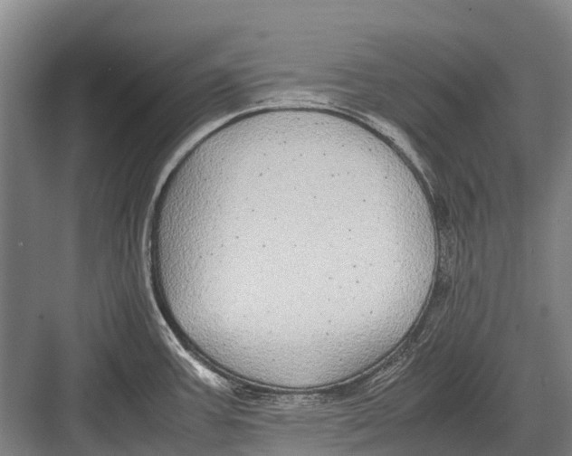 X0000082741387200702161922