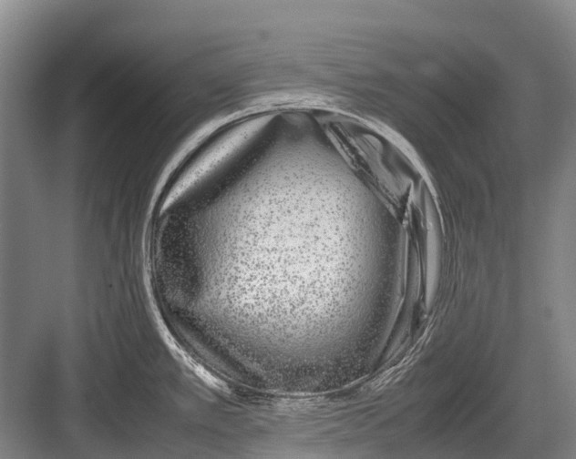 X0000082741389200702161922