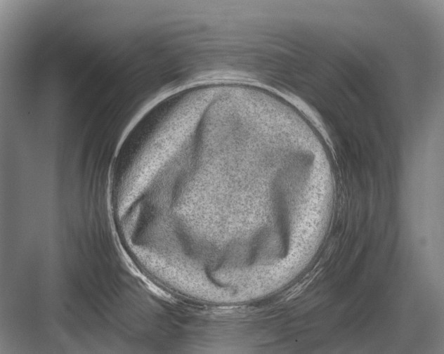 X0000082741390200702161922