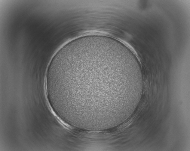 X0000082741391200702161922