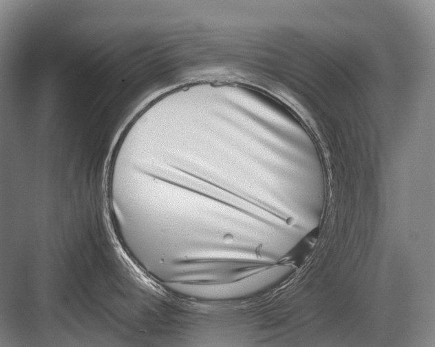 X0000082741392200702161922