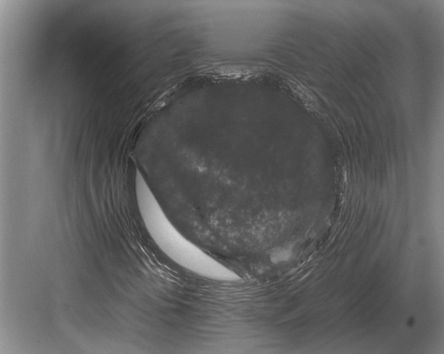 X0000082741394200702161921