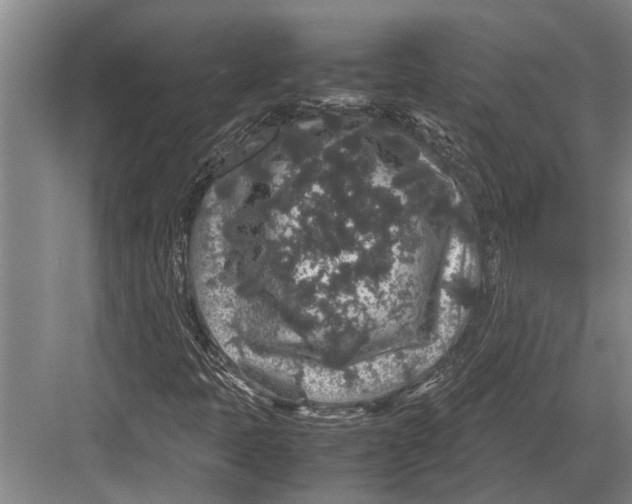 X0000082741397200702161921