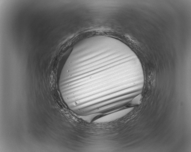 X0000082741398200702161921