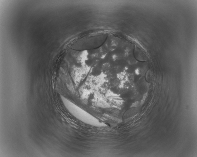 X0000082741399200702161921