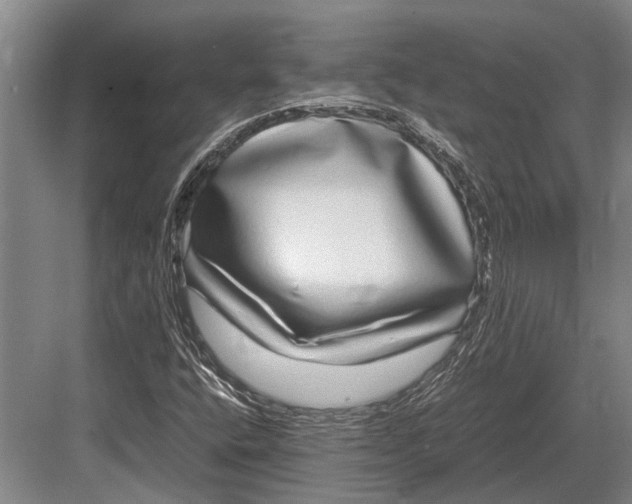 X0000082741400200702161921