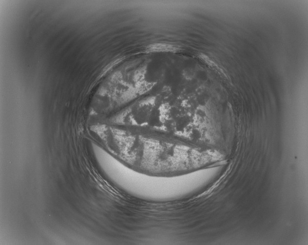 X0000082741401200702161921