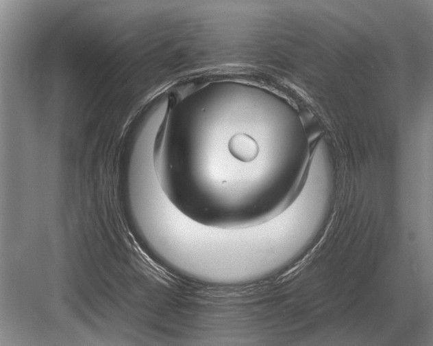 X0000082741402200702161921