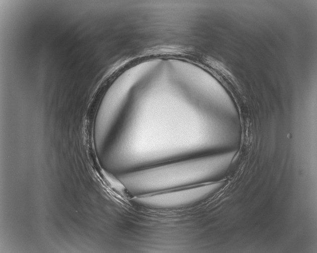 X0000082741404200702161921