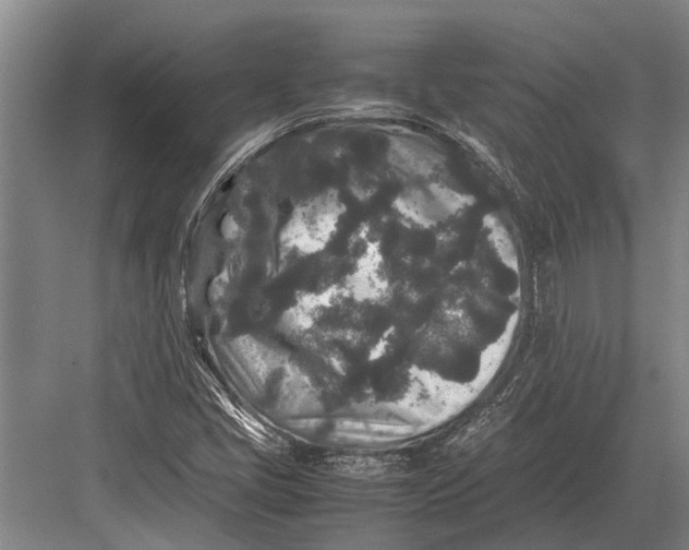 X0000082741405200702161921