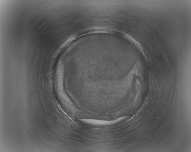 X0000082741411200702161921