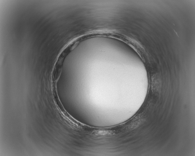 X0000082741412200702161921