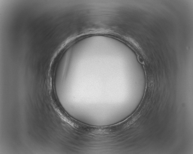 X0000082741414200702161921