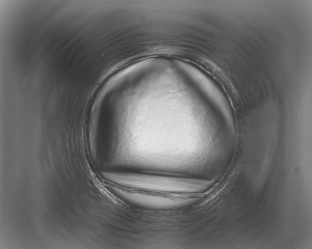 X0000082741417200702161921