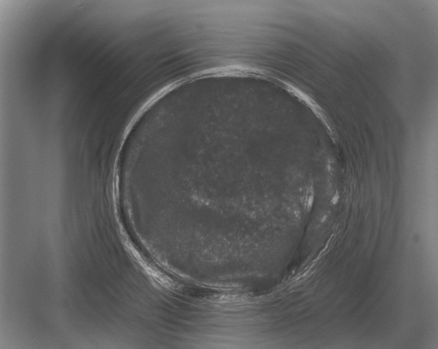 X0000082741418200702161921