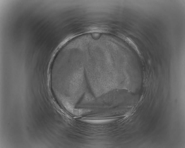 X0000082741419200702161921