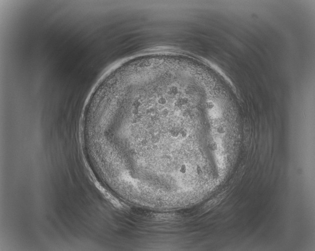 X0000082741421200702161921