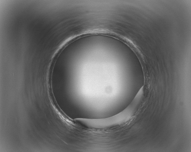 X0000082741422200702161921